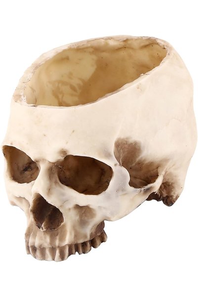 Generic Skull Planter Resin Skull Head Flower Pot Decorative Bowl For Plants ...