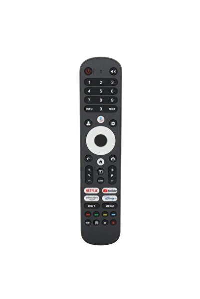 TAYFUN profilo İle Uyumlu Model 85PA725EQG Smart Tv Kumanda-Ses Özellikli