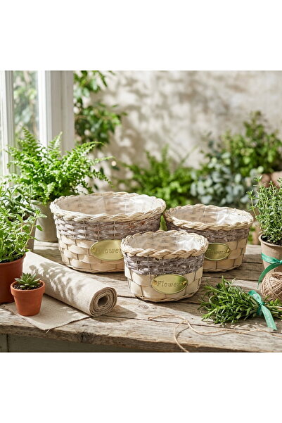 Genera Set of 3 round wicker baskets without handle