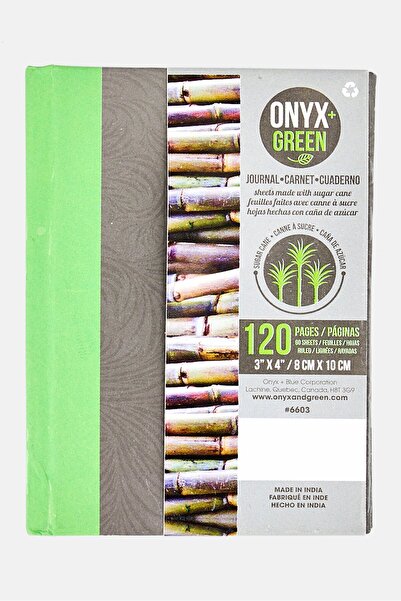 onyx + green Pocket Mini Subject Book, Multicolor