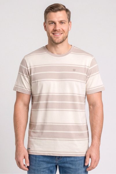 KENSINGTON Men Crew Neck Short Sleeve Stripe T-shirts, Multicolor