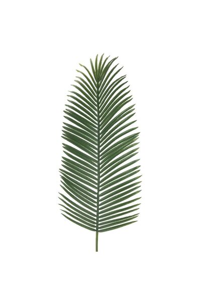 OEM Ramura Artificiala de Palmier 113cm
