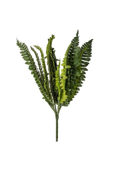 OEM Ramura Decorativa de Feriga Artificiala Verde 38cm