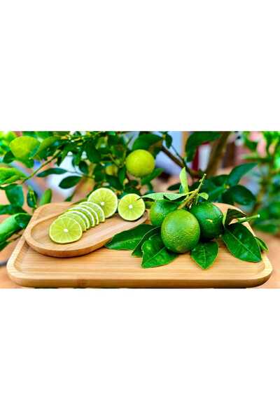 Lime Limon - Ferahlatan Lezzet (KG)