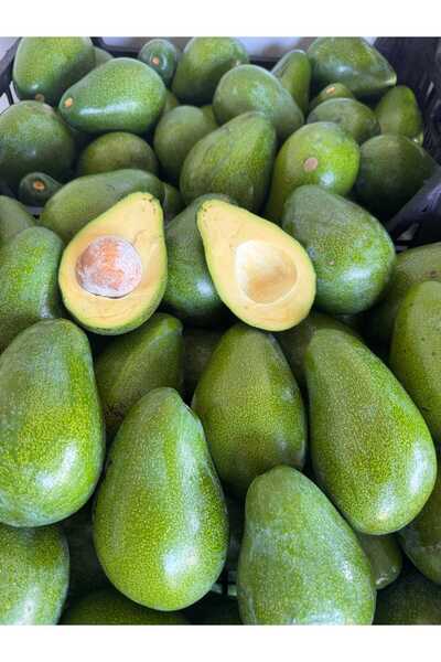 Avokado 2 Kg İrili ufaklı