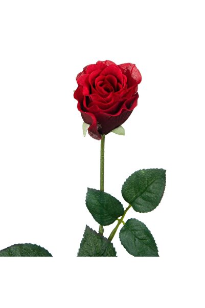 OEM Floare Artificiala Trandafir Rosu 60cm