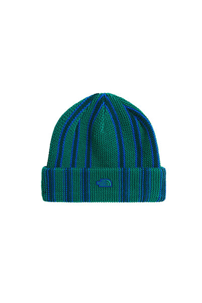 THE NORTH FACE Explore Beanie Beanie Nf0A8Chkwa61 Green