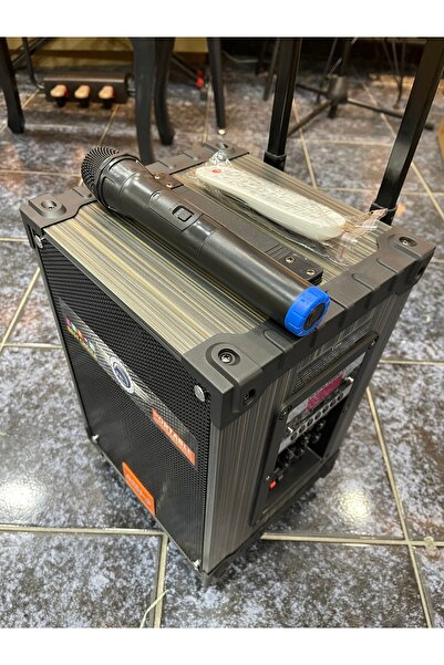 Gedi-g LT-908 Taşınabilir Çok amaçlı şarzlı Amfi