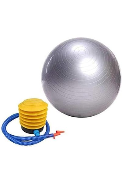 HALAMODO Anti Burst Gym Ball 65cm Fitness Yoga Exercise Home Pregnancy Birthi...