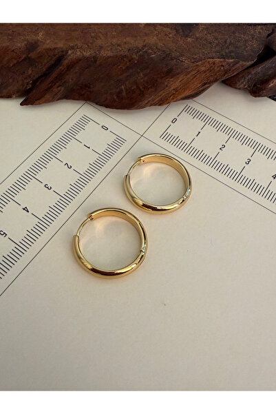 Rupen Kraft 316 L Surgical Steel Hoop Earrings Gold Color Hoop Earrings Hoop ...