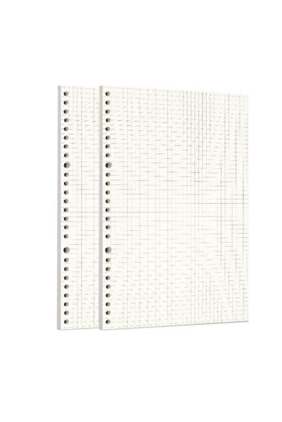 Generic Zelten 2 Pack B5 120 Sheets/240 Pages Squared Loose Leaf Punched Pape...