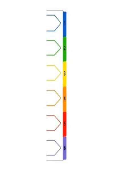 Generic Pack of 5 – 6 Tab PVC Color Divider with Number – Durable Color-Coded...
