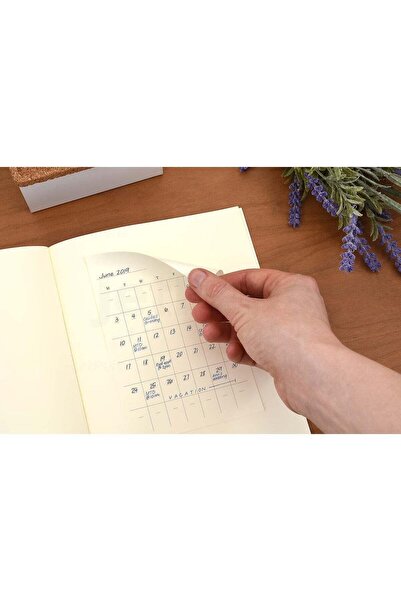 Generic MIDORI MD Undated Monthly Diary Stickers 84794006, approx. 138 x 95 m...
