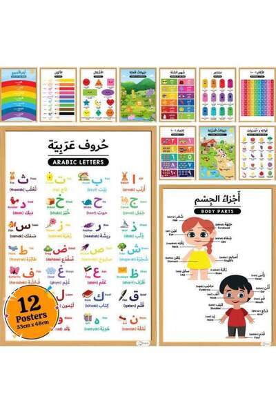 Generic 12-Piece Arabic Educational Preschool Posters Multicolour