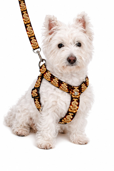 Angelapets Dog Collar (Chest Collar) Travel Strap Set