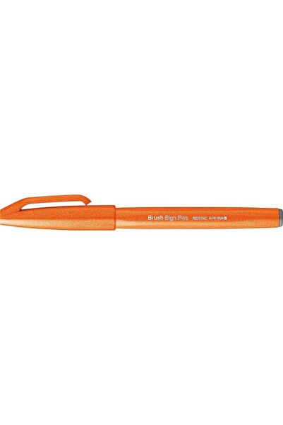 Pentel Yayınları قلم بنتل فود تاتش سيجن، أزرق، يشبه فرشاة الرسم (SES15C-C)
