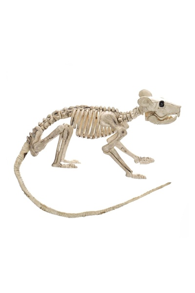 OEM Schelet Decorativ de Halloween Soarece 20 cm – decor înfricoșător pentru ...