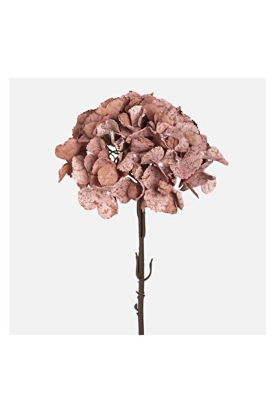 OEM Floare Artificiala cu Tulpina Lunga Hortensie Bej 66cm – floare artificia...