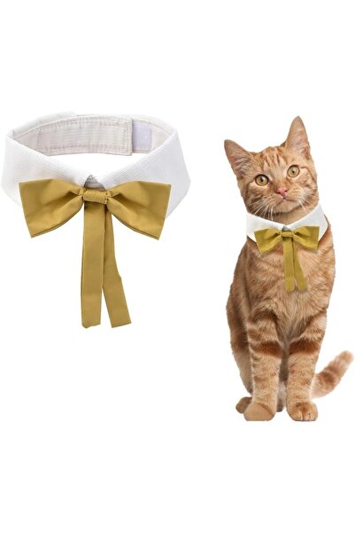 TERRIFI 2 Pack Cotton Breakaway Cat Collar White and Blue Flowers Pendant Cut...