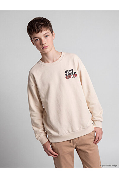 LC Waikiki Quality Parts Printed Boys' Thick Sweatshirt from Çelebi Store