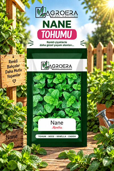 AGROERA Nane (mentha) Çiçek Tohumu 100 Adet
