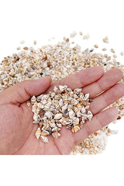 Choice 20g about 100pcs Tiny Sea Shells, Mixed 20g about 100pcs Ocean Beach S...