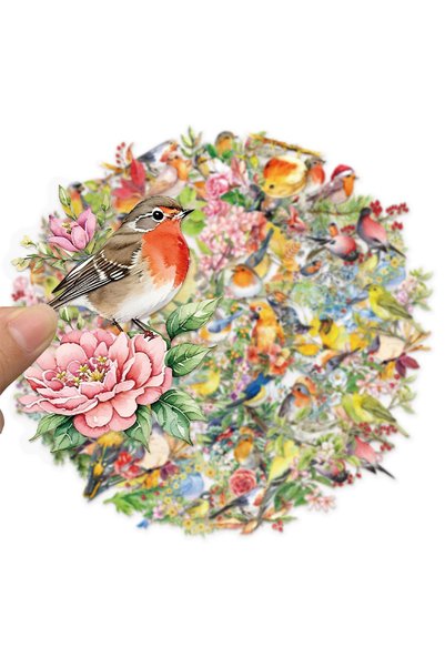 Choice 50PCS 50PCS Water Splash Watercolor Bird Sticker Pack Waterproof Trans...