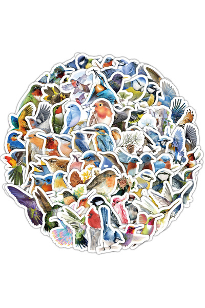Choice1 100pcs Cute Stickers Pack Kawaii Birds Aesthetic Stationery Supplies ...