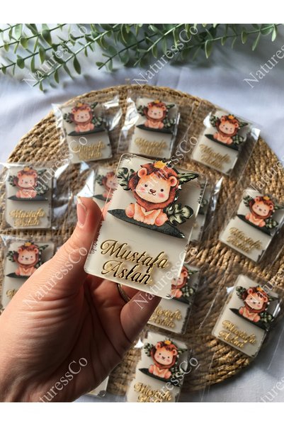 NaturessCo Round Plexiglass Baby Magnet with Lion Figure (10 Pcs)