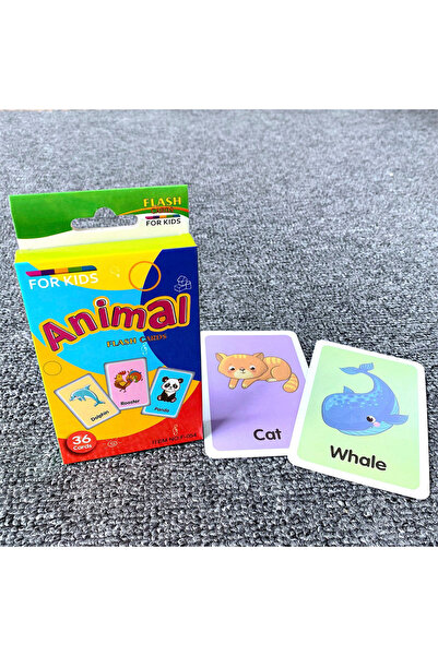Choice6 Style A Kids 36PCS/Set Animal Shape Color Time Flash Card Montessori ...