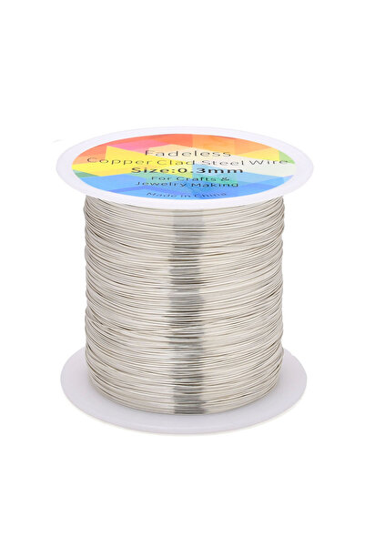 Choice1 0.3mm 100m dull silver 100m/328ft Fadeless Copper Clad Steel Wire Ben...