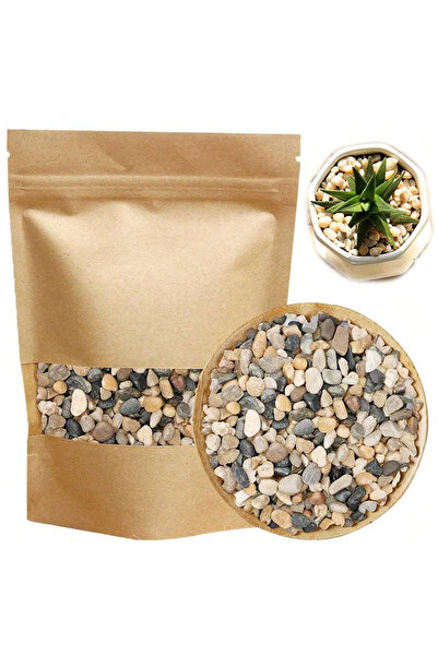 Choice 100g MULTI River Rocks Stones Natural Decorative Mixed Color Pebbles F...