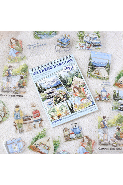 Choice5 B 30PCS PET Decoractive Material Sticker Pre-Cut Journaling Sticker S...