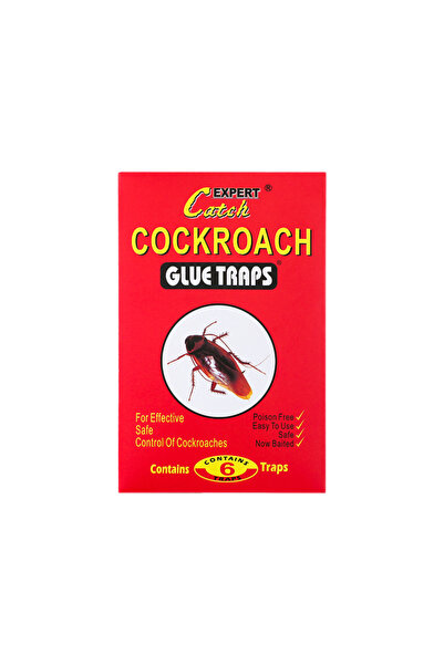 Choice 6 Pieces of Powerful Cockroach Sticker Sticker Cockroach Board Large C...
