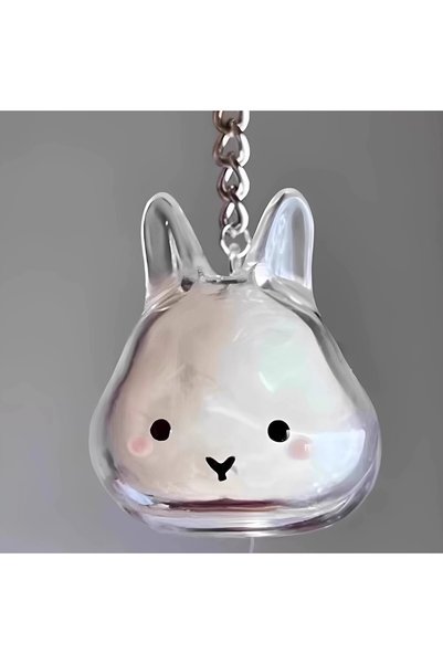 Choice A ZAKOL Cute Rabbit Shape Transparent Rabbit Fur Storage Box Hair Stor...