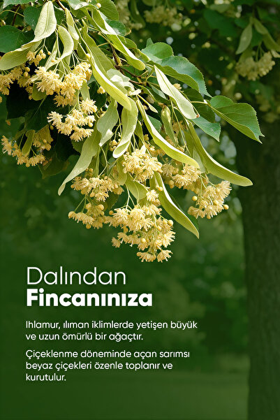 Arifoğlu Ihlamur (Çiçek ve Yaprak, Yeni Mahsül, Saf ve Doğal) 40 gr.