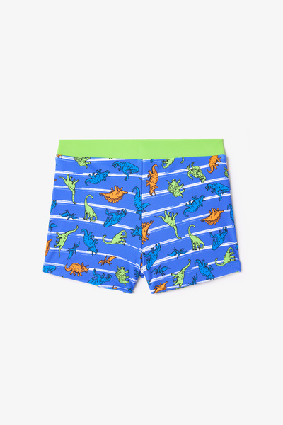 Penti Renkli Dinozor Desenli Erkek Çocuk Boxer Mayo