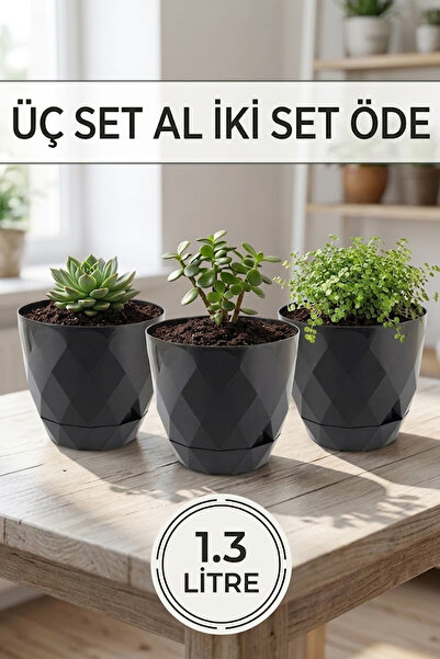 TEMMUZ HOME 2 No 3 Adet Yakamoz Kaktüs Çiçek ve Bitki Saksı 1.3 Litre