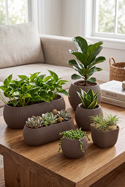 TEMMUZ HOME 6 Parça Mercan Saksı Kaktüs Sukulent Saksısı Seti