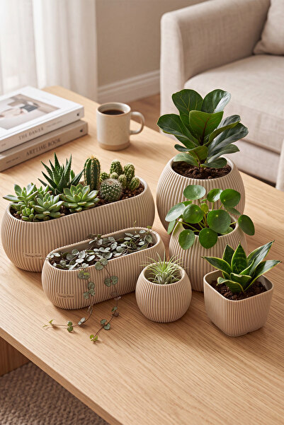 TEMMUZ HOME 6 Parça Mercan Saksı Kaktüs Sukulent Saksısı Seti