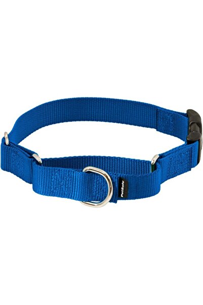 PetSafe Martingale Collar with Quick-Snap Buckle - Adjustable No-Slip Quick R...