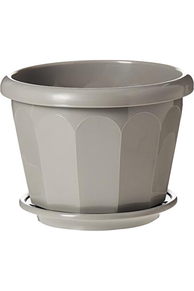 Cosmoplast Plastic Hexagonal Flowerpot 20 With Tray, Grey, IFFP20003G6