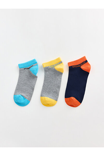 LC Waikiki Nevavm Blue Patterned 3-Pack Boys' Booties Socks with a Difference