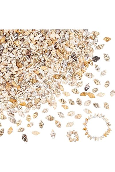 KASTWAVE 200pcs Natural Spiral Sea Shell Beads – 10-15mm Ocean Beach Shells f...