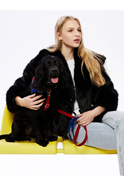 LC Waikiki Two Mt Shop Quality Xside Black Jacket Collar Women's Fur Coat