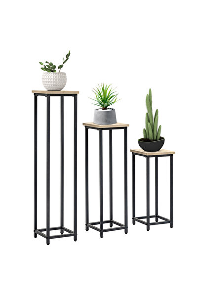 Generic Brand Set de 3 suporturi pentru plante, stivuibile și economizoare de...