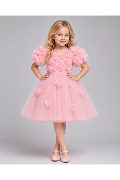 Baby Aden Babyaden Embossed Floral Balloon Sleeve Tulle Bow Detailed Birthday Party Costume Girl Child Dress