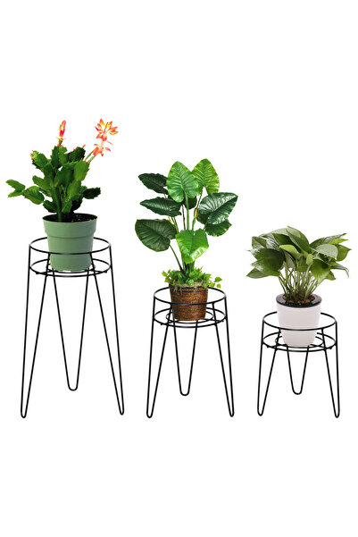 Generic Brand Set de 3 suporturi pentru plante (Înălțimi: 23,5/30/42 cm) – Su...