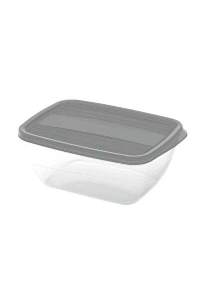 OEM Food casserole, Curver Vedo, plastic, rectangular, transparent + gray, 1.3 L