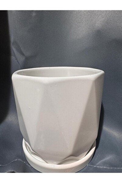 Generic Brand White Ceramic Pot for Indoor Plants